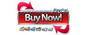 Paypal-Buy-Now-button-JPEG_wide
