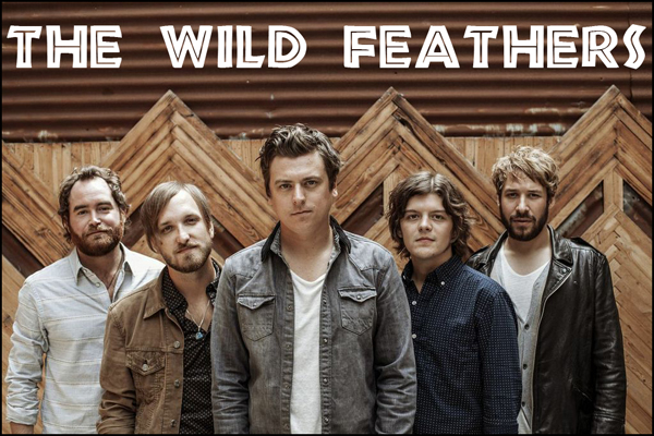 TheWildFeathers