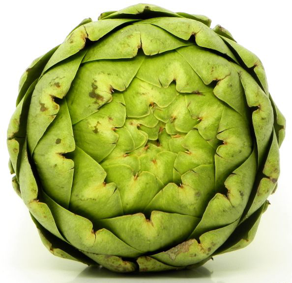 artichoke_topview