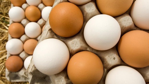 eggs_1