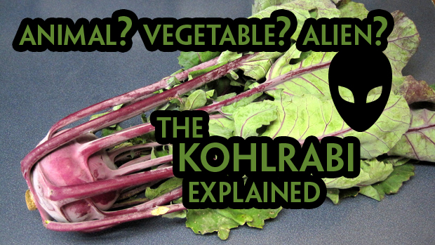 KohlrabiFeat