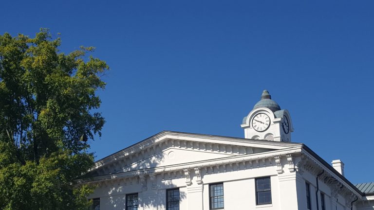 courthouse-tree_dailydispatch