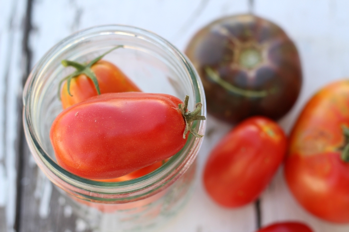 preserve-tomatoes