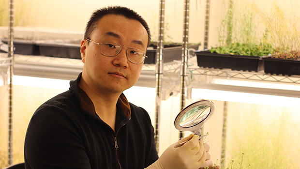 feat-Yongjian Qiu Nature Communications_1