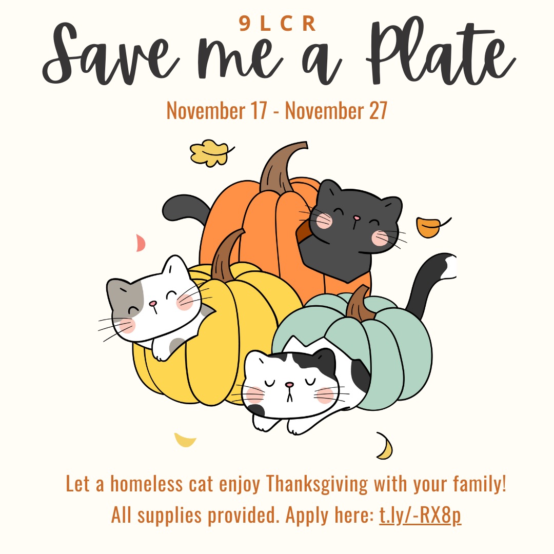 Save me a Plate - 2023 - Social media
