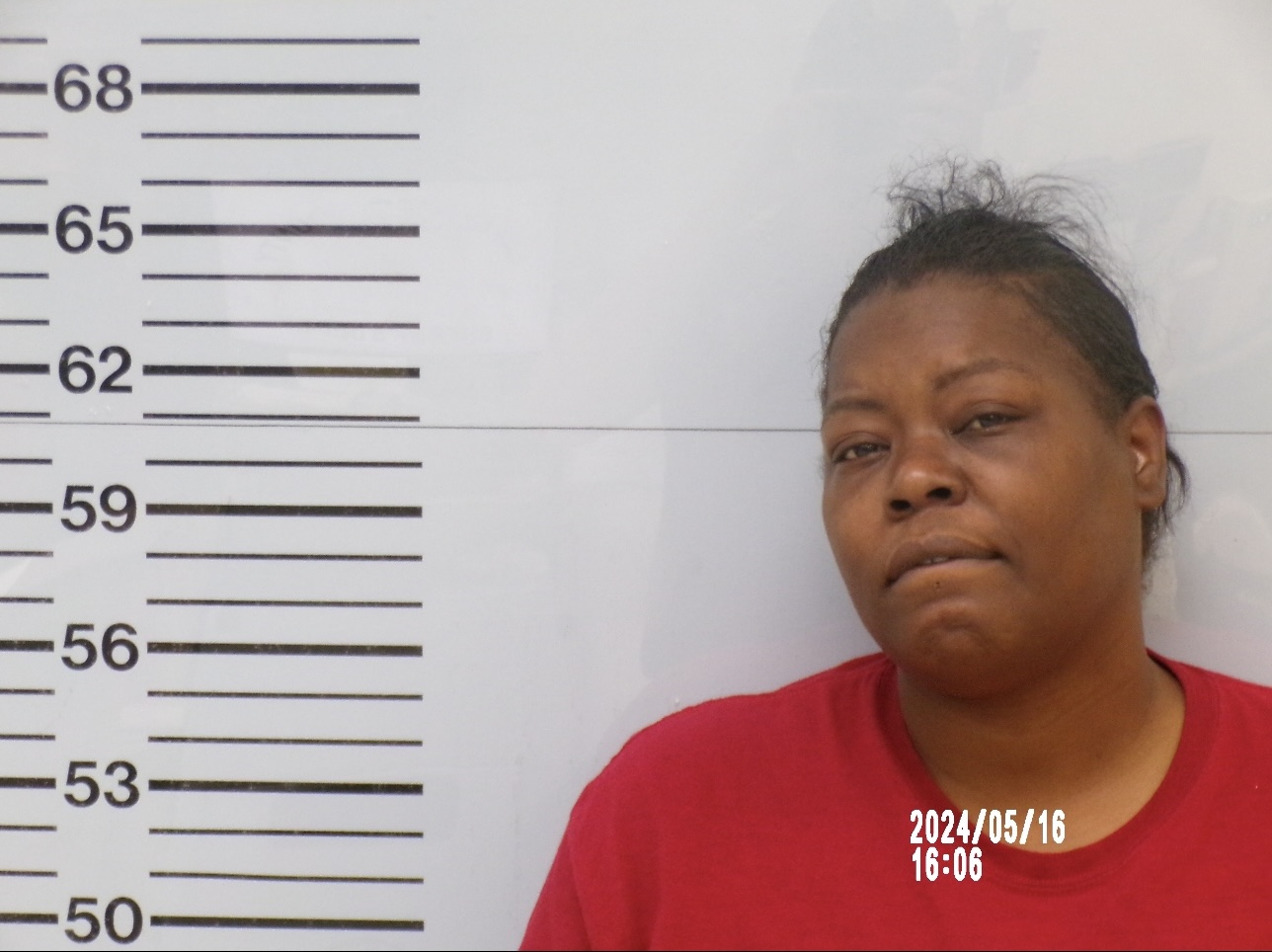 Memphis Duo Arrested for Burglary and Malicious Mischief on Clearbrook