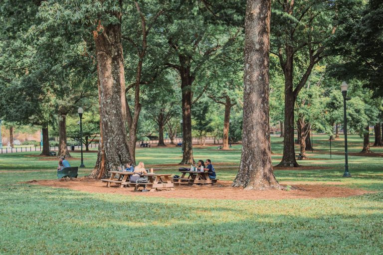 PicnicInTheGrove